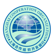 上合稳定币正式推出，开启区域金融结算新范式