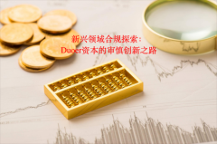 新兴领域合规探索：Duoer资本的审慎创新之路